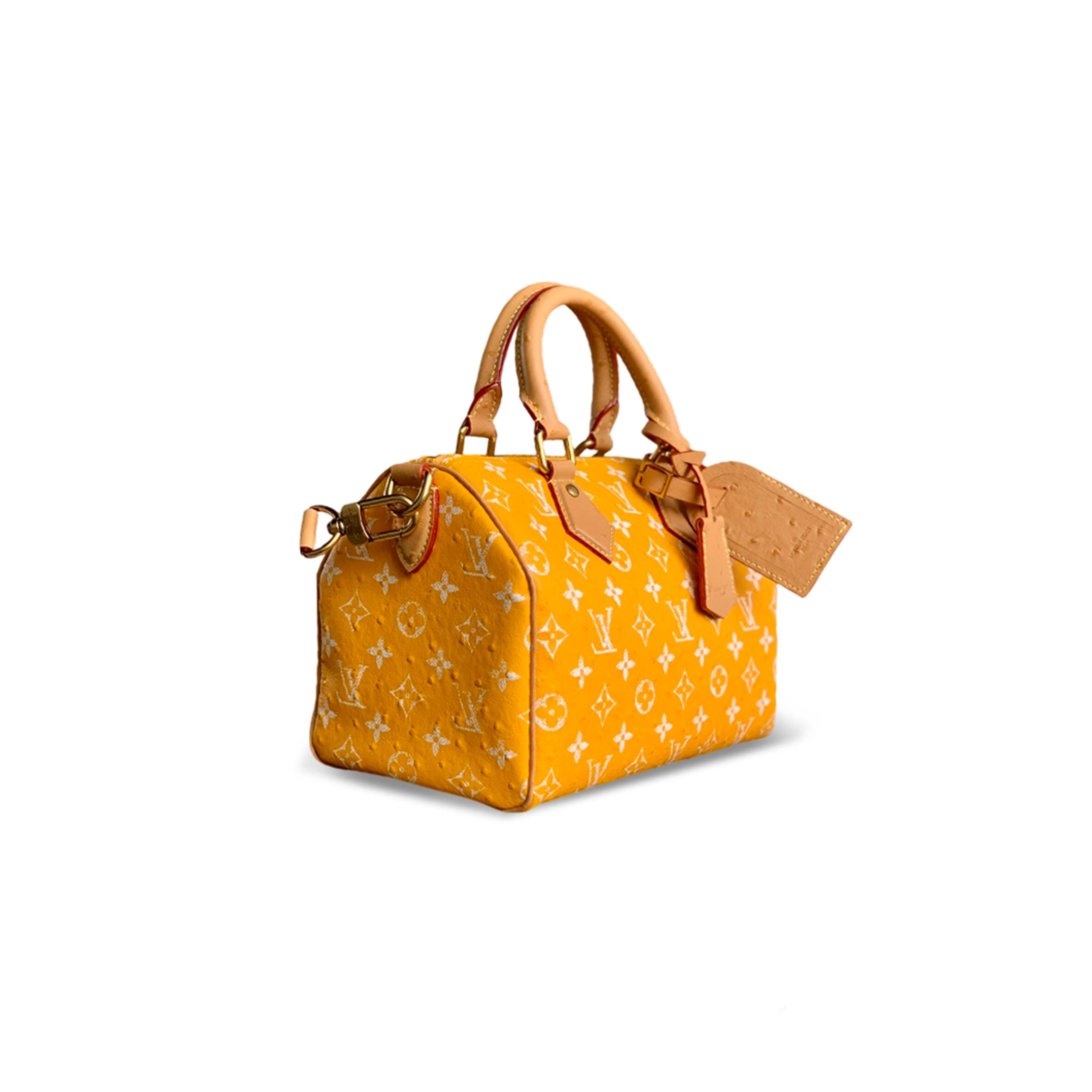 l0vis Vvtt0n master speedy p9 bandouliÈre 25 m24437 (25*15*15cm)